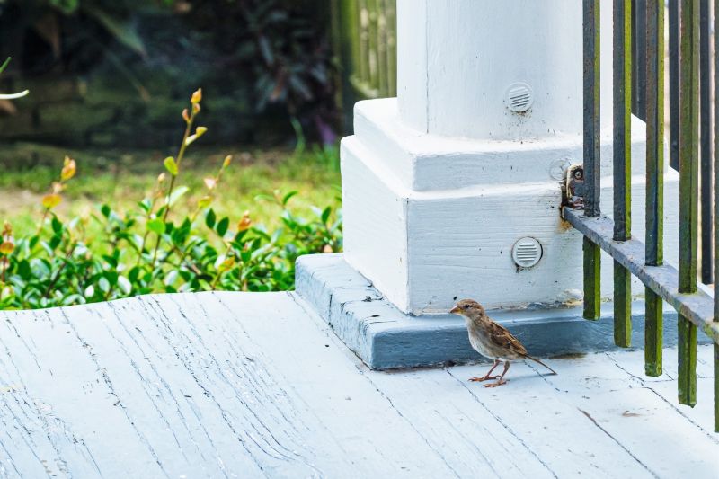 Porch Column Repair Contractor Listings
